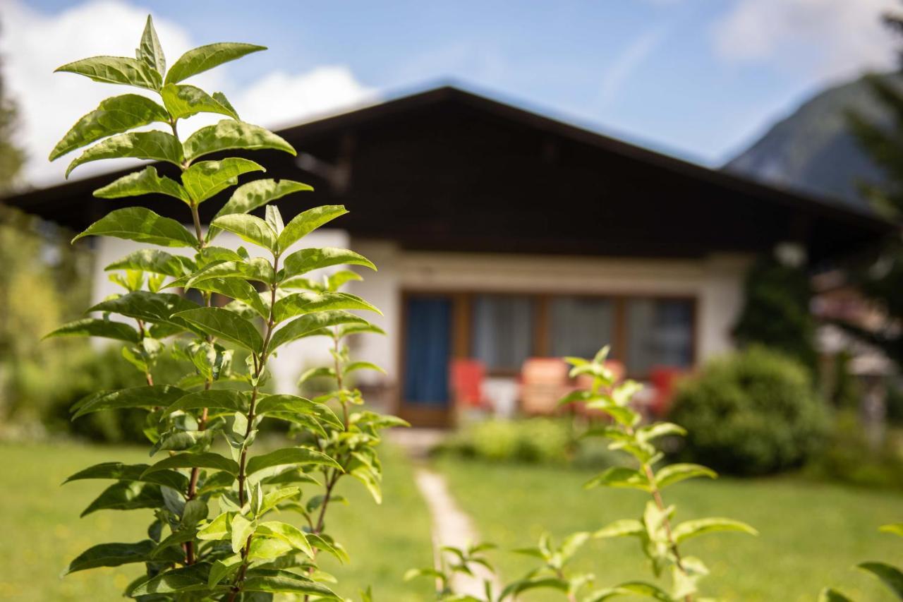Forellenhof Appartements & Grossmutters Bungalow Лойташ Екстериор снимка
